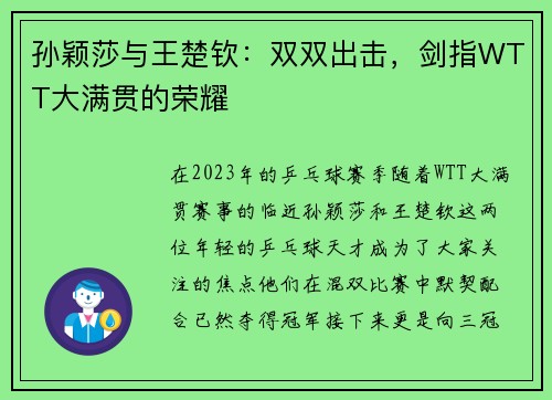 孙颖莎与王楚钦：双双出击，剑指WTT大满贯的荣耀